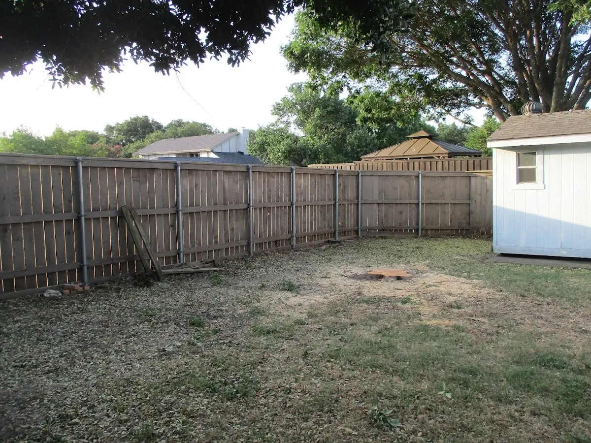 Cleared yard after professional tree removal in Snowshoe